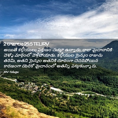 Picture 02 - 2 రాజులు 25:5 TELIRV - అయితే కల్దీయులు - Bible Verse Picture