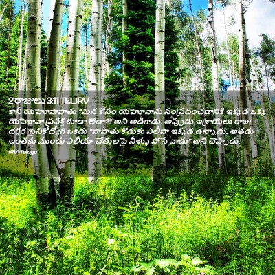 Picture 02 - 2 రాజులు 3:11 TELIRV - కానీ యెహోషాపాతు - Bible Verse Picture