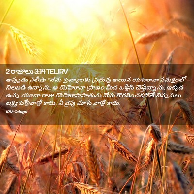 Picture 02 - 2 రాజులు 3:14 TELIRV - అప్పుడు ఎలీషా - Bible Verse Picture