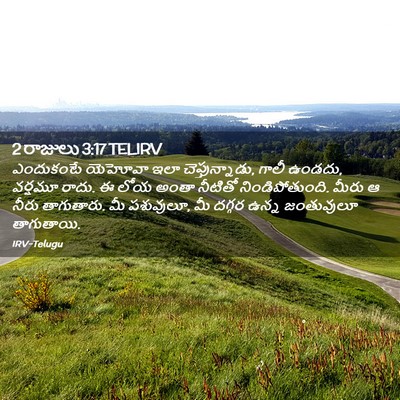 Picture 02 - 2 రాజులు 3:17 TELIRV - ఎందుకంటే యెహోవా - Bible Verse Picture