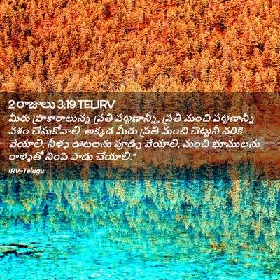 Picture 02 - 2 రాజులు 3:19 TELIRV - మీరు - Bible Verse Picture