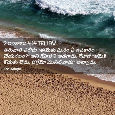 Picture 02 - 2 రాజులు 4:14 TELIRV - తరువాత ఎలీషా - Bible Verse Picture