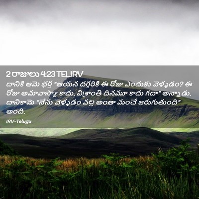 Picture 02 - 2 రాజులు 4:23 TELIRV - దానికి ఆమె భర్త - Bible Verse Picture