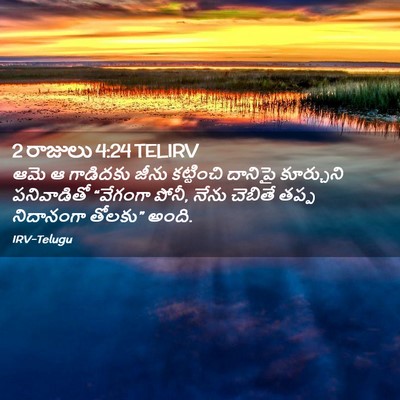 Picture 02 - 2 రాజులు 4:24 TELIRV - ఆమె ఆ గాడిదకు జీను - Bible Verse Picture