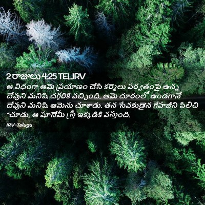 Picture 02 - 2 రాజులు 4:25 TELIRV - ఆ విధంగా ఆమె - Bible Verse Picture