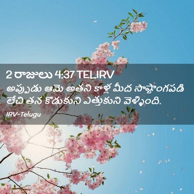 Picture 02 - 2 రాజులు 4:37 TELIRV - అప్పుడు ఆమె అతని - Bible Verse Picture