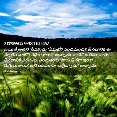 Picture 02 - 2 రాజులు 4:43 TELIRV - అయితే అతని - Bible Verse Picture