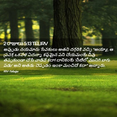 Picture 02 - 2 రాజులు 5:13 TELIRV - అప్పుడు నయమాను - Bible Verse Picture