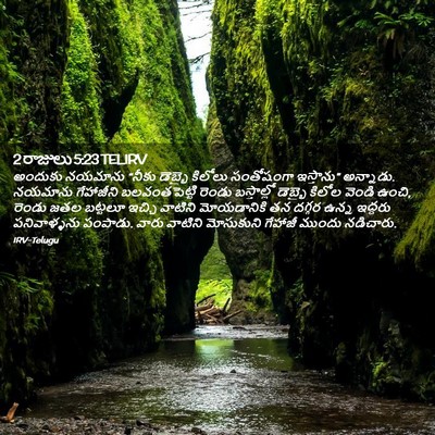 Picture 02 - 2 రాజులు 5:23 TELIRV - అందుకు నయమాను - Bible Verse Picture