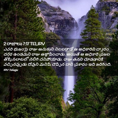 Picture 02 - 2 రాజులు 7:17 TELIRV - ఎవరి భుజంపై రాజు - Bible Verse Picture