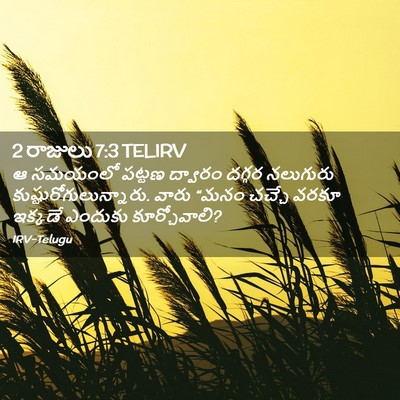 Picture 02 - 2 రాజులు 7:3 TELIRV - ఆ సమయంలో పట్టణ - Bible Verse Picture