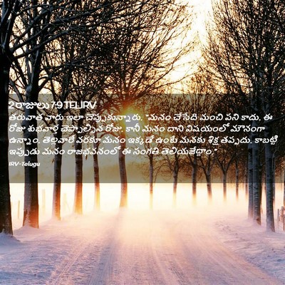 Picture 02 - 2 రాజులు 7:9 TELIRV - తరువాత వారు ఇలా - Bible Verse Picture