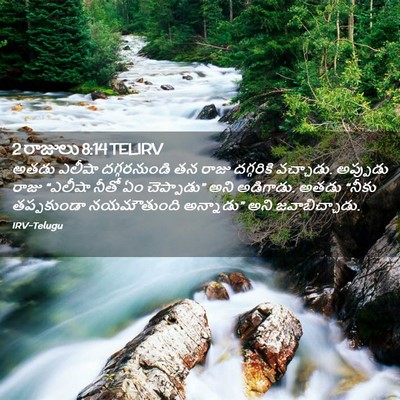 Picture 02 - 2 రాజులు 8:14 TELIRV - అతడు ఎలీషా - Bible Verse Picture