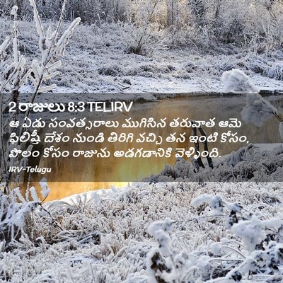 Picture 02 - 2 రాజులు 8:3 TELIRV - ఆ ఏడు సంవత్సరాలు - Bible Verse Picture