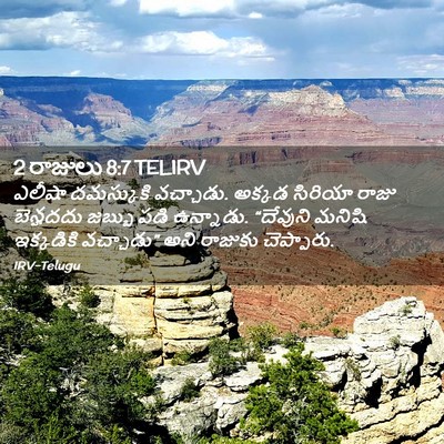 Picture 02 - 2 రాజులు 8:7 TELIRV - ఎలీషా దమస్కుకి - Bible Verse Picture