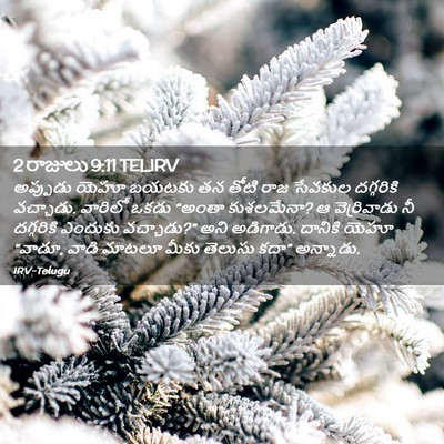 Picture 02 - 2 రాజులు 9:11 TELIRV - అప్పుడు యెహూ - Bible Verse Picture