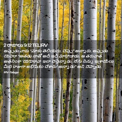 Picture 02 - 2 రాజులు 9:12 TELIRV - అప్పుడు వారు - Bible Verse Picture