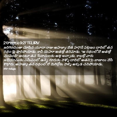 Picture 02 - 2 రాజులు 9:27 TELIRV - జరిగిందంతా చూసిన - Bible Verse Picture