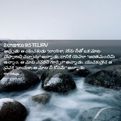 Picture 02 - 2 రాజులు 9:5 TELIRV - అప్పుడు ఆ యువకుడు - Bible Verse Picture