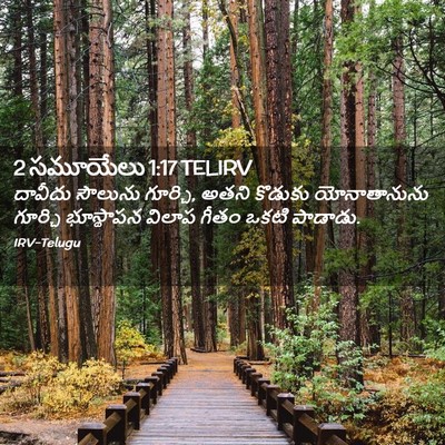 Picture 02 - 2 సమూయేలు 1:17 TELIRV - దావీదు సౌలును - Bible Verse Picture
