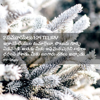 Picture 02 - 2 సమూయేలు 1:24 TELIRV - ఇశ్రాయేలీయుల - Bible Verse Picture