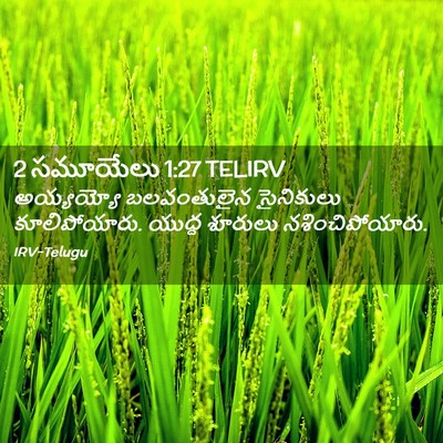 Picture 02 - 2 సమూయేలు 1:27 TELIRV - అయ్యయ్యో - Bible Verse Picture