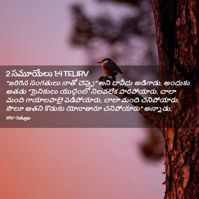 Picture 02 - 2 సమూయేలు 1:4 TELIRV - “జరిగిన సంగతులు - Bible Verse Picture