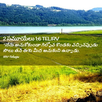 Picture 02 - 2 సమూయేలు 1:6 TELIRV - “నేను అనుకోకుండా - Bible Verse Picture