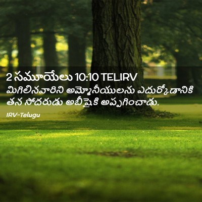 Picture 02 - 2 సమూయేలు 10:10 TELIRV - మిగిలినవారిని - Bible Verse Picture