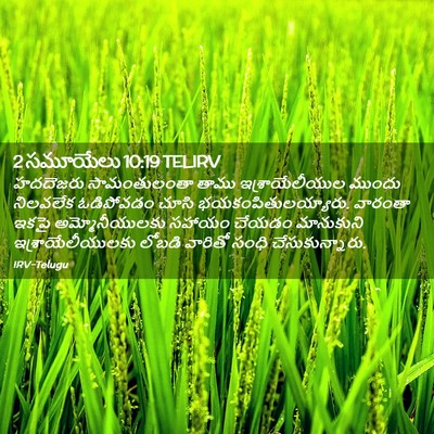 Picture 02 - 2 సమూయేలు 10:19 TELIRV - హదదెజరు - Bible Verse Picture