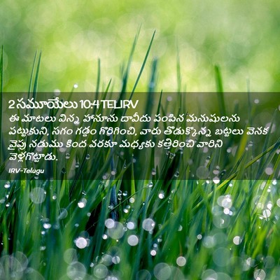 Picture 02 - 2 సమూయేలు 10:4 TELIRV - ఈ మాటలు విన్న - Bible Verse Picture