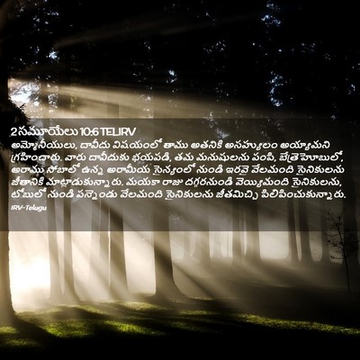 Picture 02 - 2 సమూయేలు 10:6 TELIRV - అమ్మోనీయులు, - Bible Verse Picture