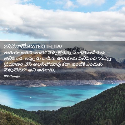 Picture 02 - 2 సమూయేలు 11:10 TELIRV - ఊరియా అతని ఇంటికి - Bible Verse Picture