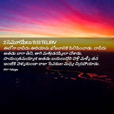 Picture 02 - 2 సమూయేలు 11:13 TELIRV - ఈలోగా దావీదు - Bible Verse Picture