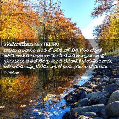 Picture 02 - 2 సమూయేలు 12:17 TELIRV - దావీదు ఉపవాసం - Bible Verse Picture