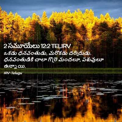 Picture 02 - 2 సమూయేలు 12:2 TELIRV - ఒకడు ధనవంతుడు, - Bible Verse Picture