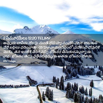 Picture 02 - 2 సమూయేలు 12:20 TELIRV - అప్పుడు దావీదు - Bible Verse Picture