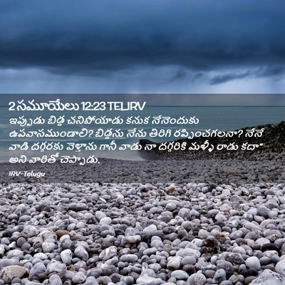 Picture 02 - 2 సమూయేలు 12:23 TELIRV - ఇప్పుడు బిడ్డ - Bible Verse Picture