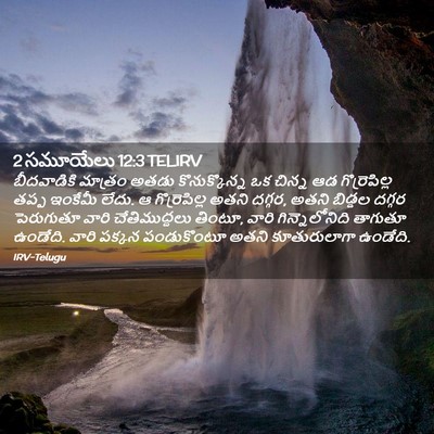 Picture 02 - 2 సమూయేలు 12:3 TELIRV - బీదవాడికి మాత్రం - Bible Verse Picture