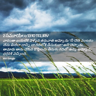 Picture 02 - 2 సమూయేలు 13:10 TELIRV - వారంతా బయటికి - Bible Verse Picture