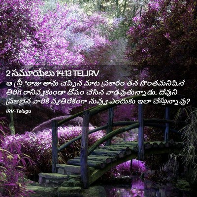 Picture 02 - 2 సమూయేలు 14:13 TELIRV - ఆ స్త్రీ “రాజు - Bible Verse Picture