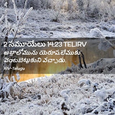 Picture 02 - 2 సమూయేలు 14:23 TELIRV - అబ్షాలోమును - Bible Verse Picture