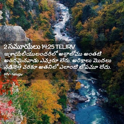Picture 02 - 2 సమూయేలు 14:25 TELIRV -  - Bible Verse Picture