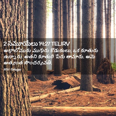 Picture 02 - 2 సమూయేలు 14:27 TELIRV - అబ్షాలోముకు - Bible Verse Picture