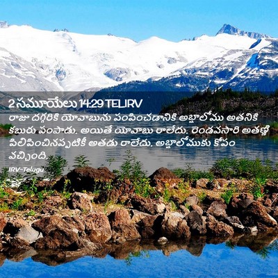 Picture 02 - 2 సమూయేలు 14:29 TELIRV - రాజు దగ్గరికి - Bible Verse Picture