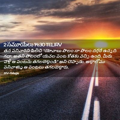 Picture 02 - 2 సమూయేలు 14:30 TELIRV - తన పనివారిని - Bible Verse Picture