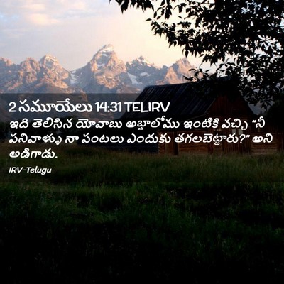 Picture 02 - 2 సమూయేలు 14:31 TELIRV - ఇది తెలిసిన - Bible Verse Picture