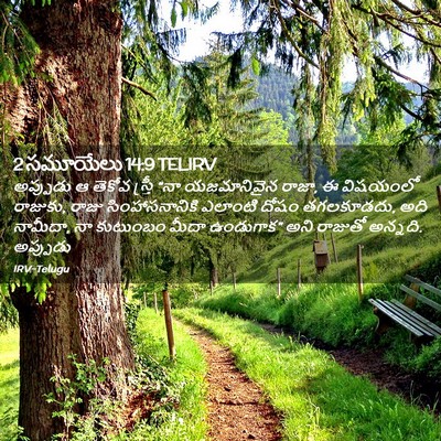 Picture 02 - 2 సమూయేలు 14:9 TELIRV - అప్పుడు ఆ తెకోవ - Bible Verse Picture