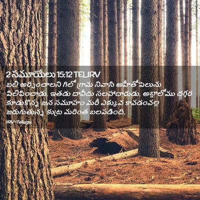 Picture 02 - 2 సమూయేలు 15:12 TELIRV - బలి అర్పించాలని - Bible Verse Picture