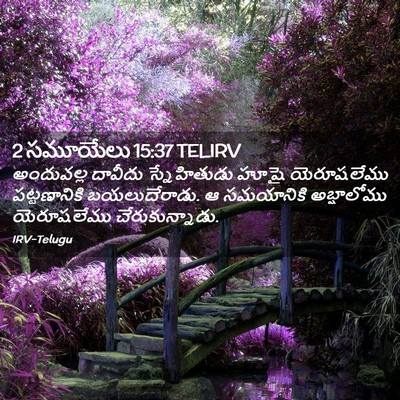 Picture 02 - 2 సమూయేలు 15:37 TELIRV - అందువల్ల దావీదు - Bible Verse Picture